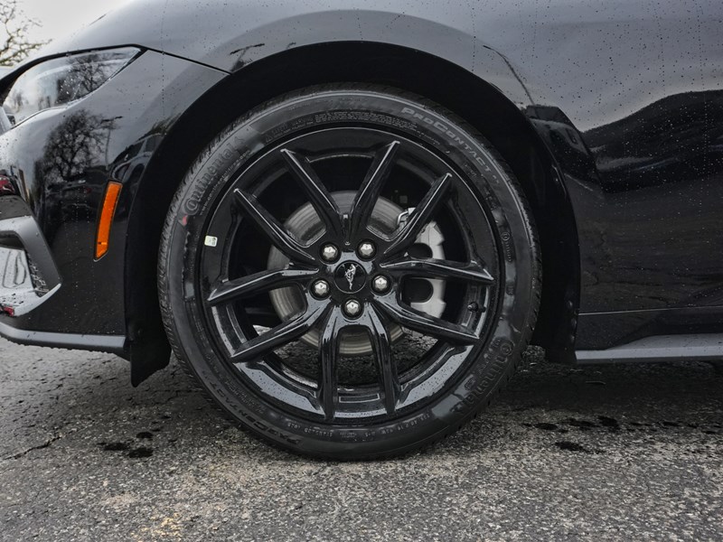 2026 Ford Mustang EcoBoost | 2.3L | 100A | AUTO | NITE PONY PKG