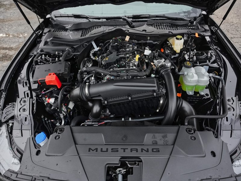 2026 Ford Mustang EcoBoost | 2.3L | 100A | AUTO | NITE PONY PKG