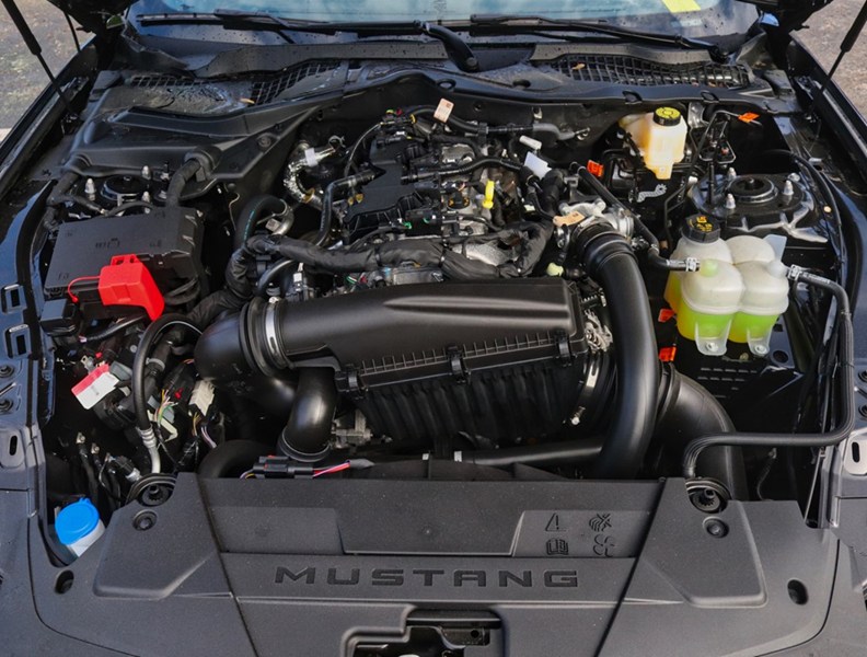 2026 Ford Mustang EcoBoost | 10-SPD AUTO | NITE PONY PKG | 19s