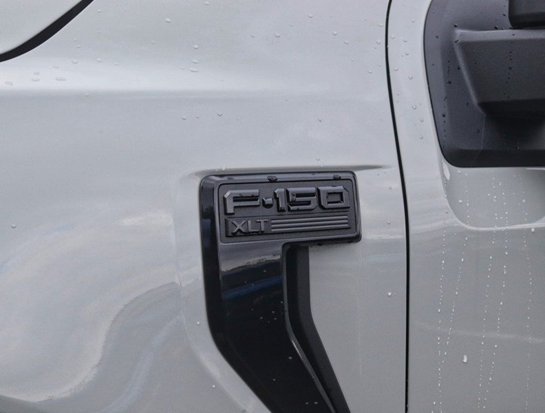 2026 Ford F-150 XLT | 4X4 | 3.5L | 302A | BLK PK PLS | BED UTL