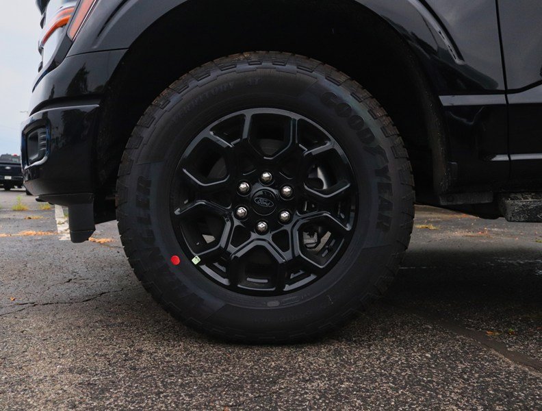 2026 Ford F-150 XLT | 4X4 | 3.5L | 302A | 157 | BLK PK PLS | BED U