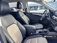 2022 Ford Escape Titanium Hybrid AWD