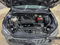 2024 Ford Escape Active AWD