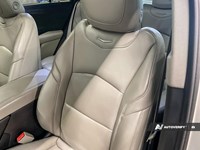 2020 Cadillac XT4 AWD 4dr Premium Luxury