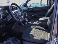 2025 Ford Ranger XLT 4WD SuperCrew 5' Box