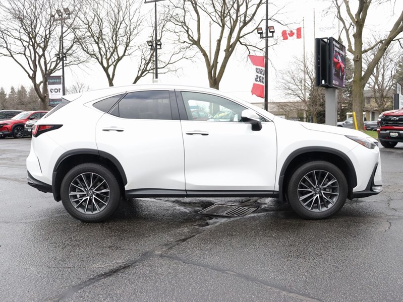2024 Lexus NX 350h 350h Base