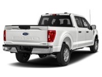 2023 Ford F-150 XLT 4WD SuperCrew 5.5' Box Exterior Shot 2