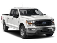 2023 Ford F-150 XLT | 4X4 | 2.7L | 302A | FX4 | TAILGATE STEP |20s Exterior Shot 8