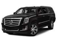 2015 Cadillac Escalade ESV 4WD 4dr Platinum Exterior Shot 1