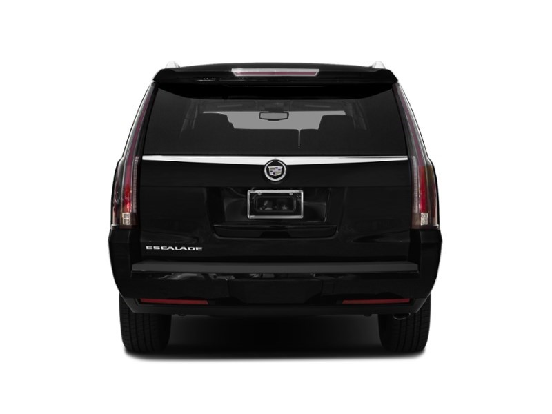 2015 Cadillac Escalade ESV 4WD 4dr Platinum Exterior Shot 8