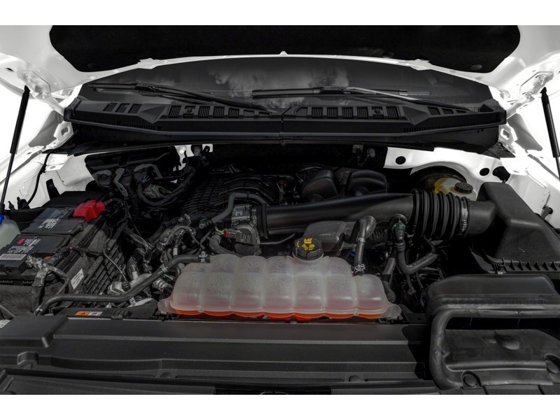 2020 Ford F-150 XLT |4X4 | 2.7L | TOW PKG | REARVIEW CAM | 17s Exterior Shot 3