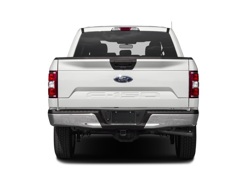 2019 Ford F-150 XLT 4WD SuperCrew 5.5' Box Exterior Shot 8