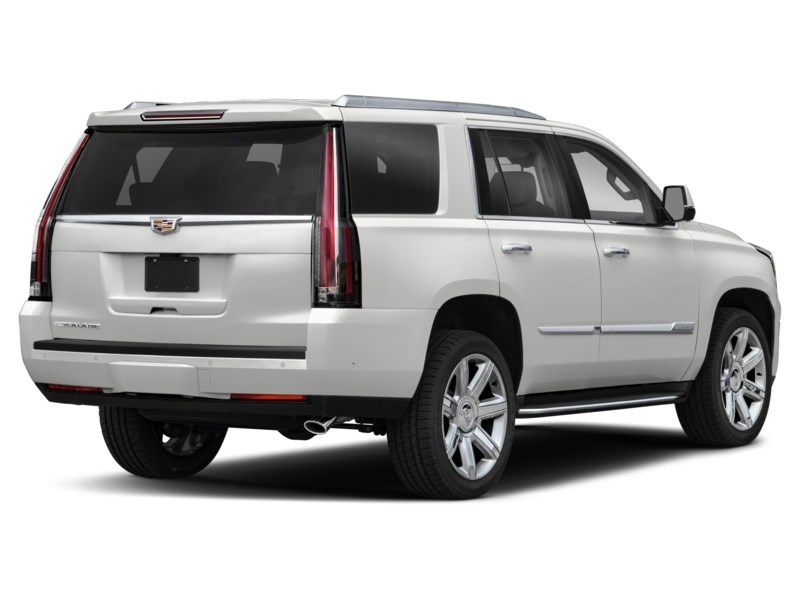 2019 Cadillac Escalade 4WD 4dr Luxury Exterior Shot 2