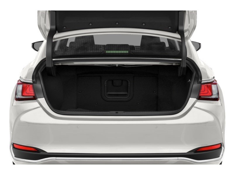 2020 Lexus ES 300h ES 300h Premium Auto Exterior Shot 4