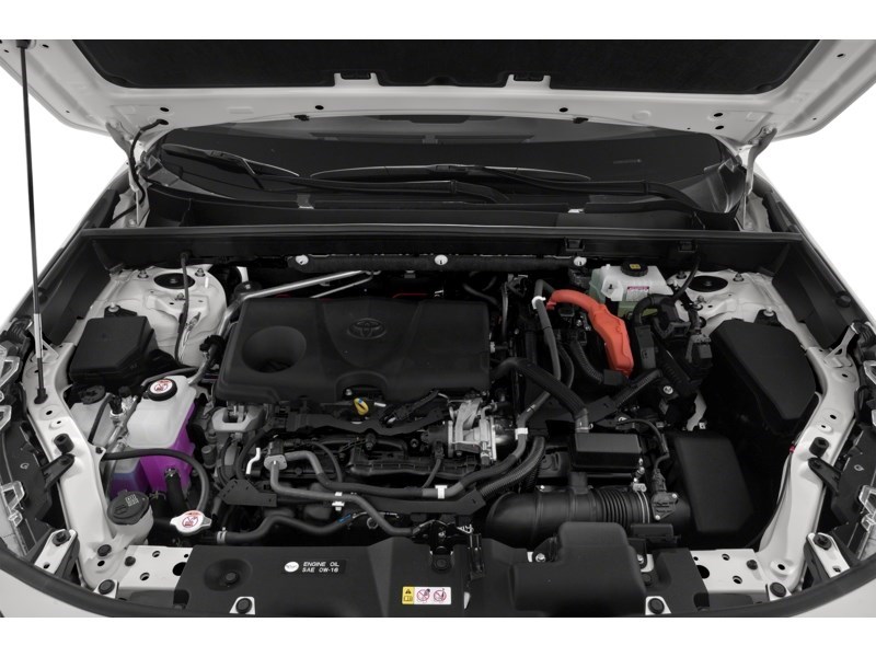 2020 Toyota RAV4 Hybrid Hybrid XLE AWD Exterior Shot 3