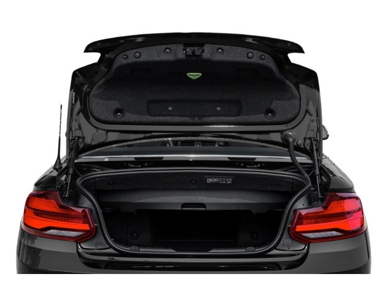 2021 BMW 230 230i xDrive Cabriolet Exterior Shot 4