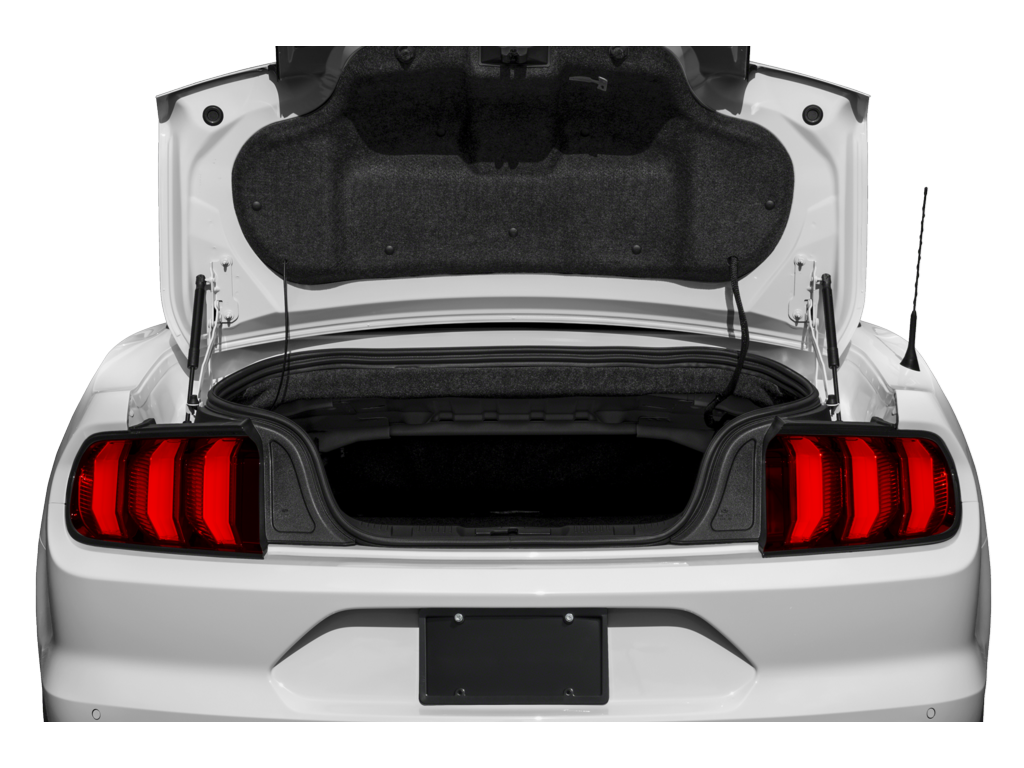 2023 Ford Mustang Exterior