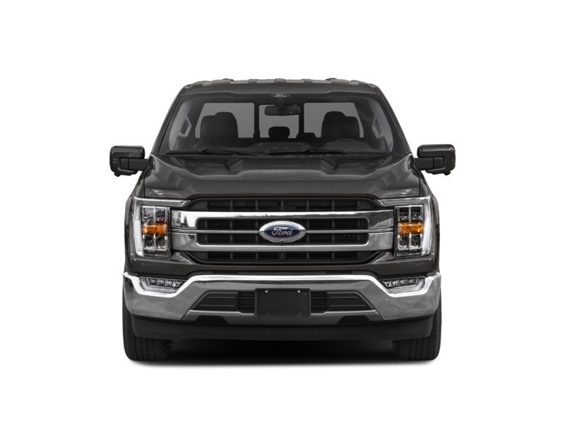 2022 Ford F-150 LARIAT | 4X4 | 5.0L | 502A | ROOF | 360 | PWR TLGT Exterior Shot 5