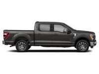 2022 Ford F-150 LARIAT | 4X4 | 5.0L | 502A | ROOF | 360 | PWR TLGT Exterior Shot 10