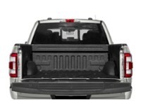 2023 Ford F-150 Platinum 4WD SuperCrew 5.5' Box Exterior Shot 4