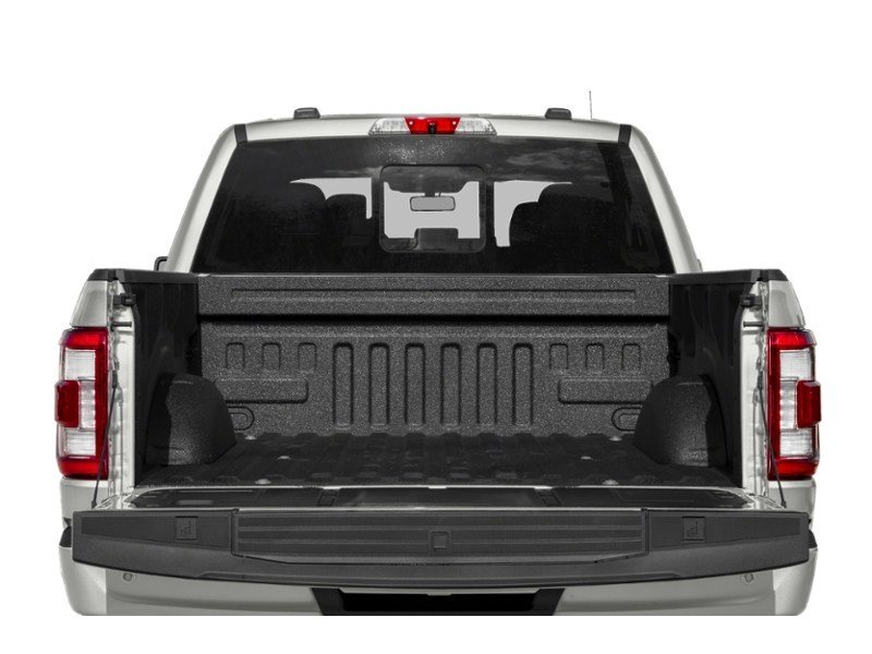 2023 Ford F-150 Platinum 4WD SuperCrew 5.5' Box Exterior Shot 4