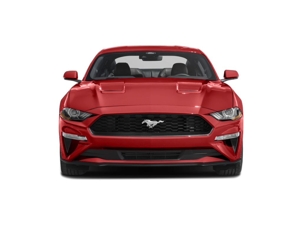 2023 Ford Mustang Exterior
