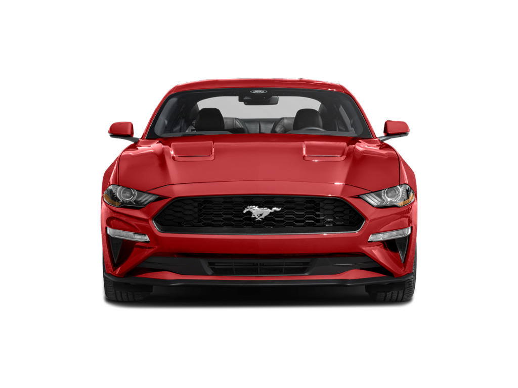 2023 Ford Mustang Exterior