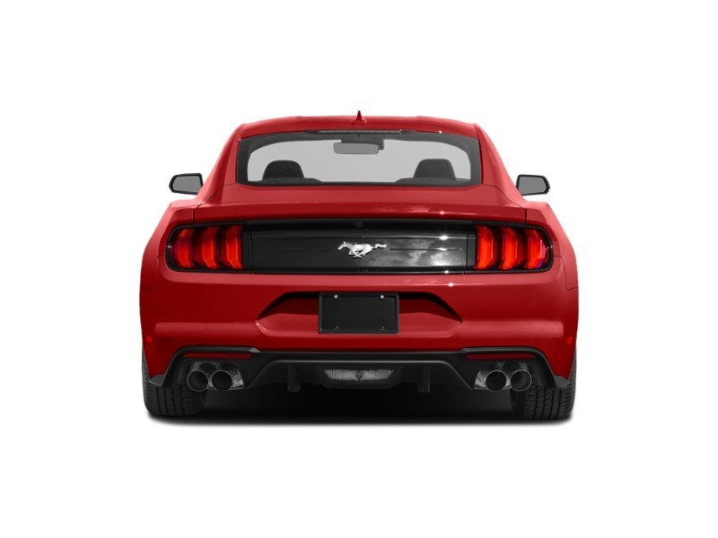 2023 Ford Mustang EcoBoost Premium | 2.3L | 201A | AUTO | NAV | LEAT Exterior Shot 7