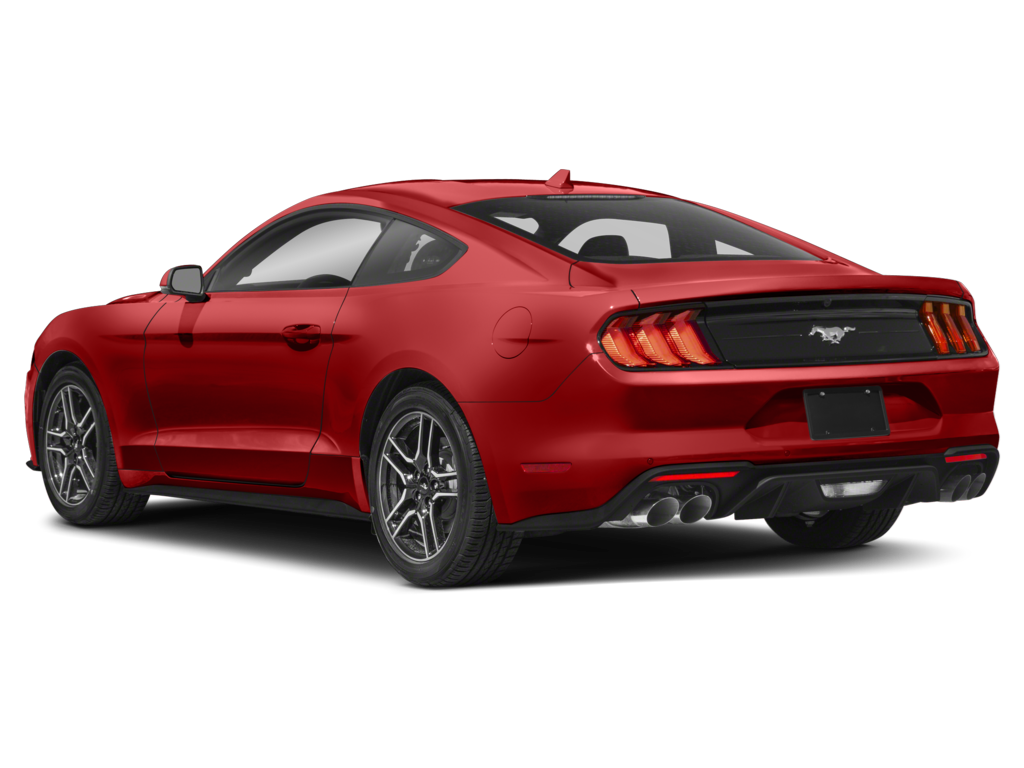 2023 Ford Mustang Exterior