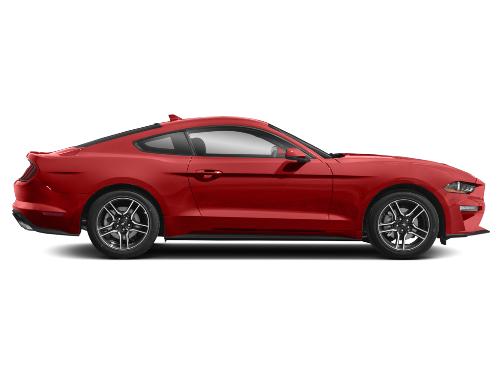 2023 Ford Mustang Exterior