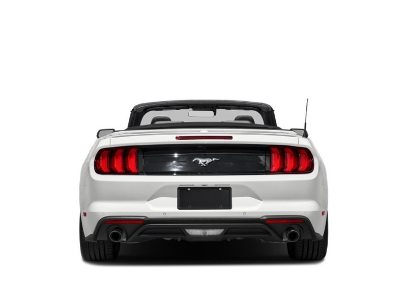 2022 Ford Mustang EcoBoost Convertible Exterior Shot 7