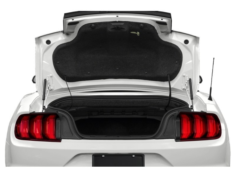 2022 Ford Mustang EcoBoost Convertible Exterior Shot 4