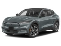 2025 Ford Mustang Mach-E Premium AWD Exterior Shot 1