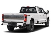 2024 Ford Super Duty F-350 DRW Platinum 4WD Crew Cab 8' Box Exterior Shot 2
