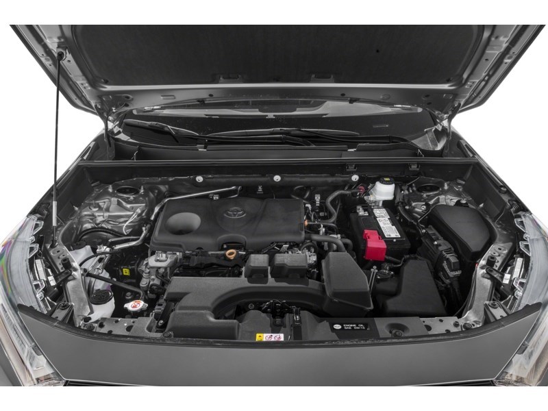 2024 Toyota RAV4 LE AWD Exterior Shot 3