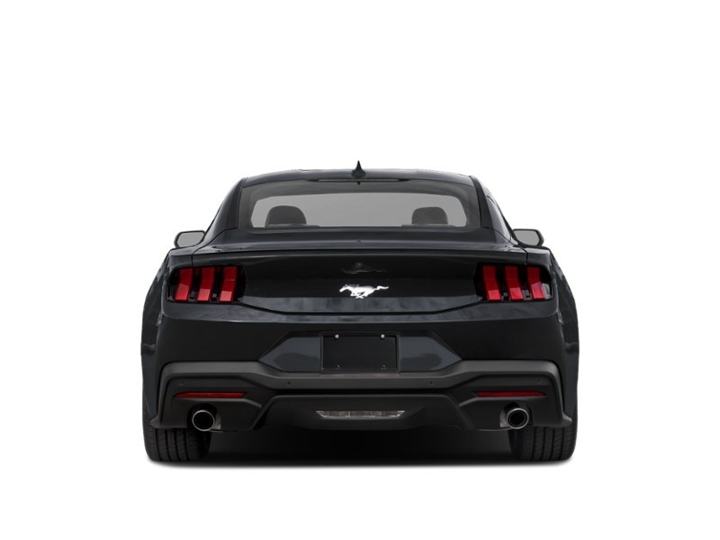 2026 Ford Mustang EcoBoost | 2.3L | 100A | AUTO | NITE PONY PKG Exterior Shot 7