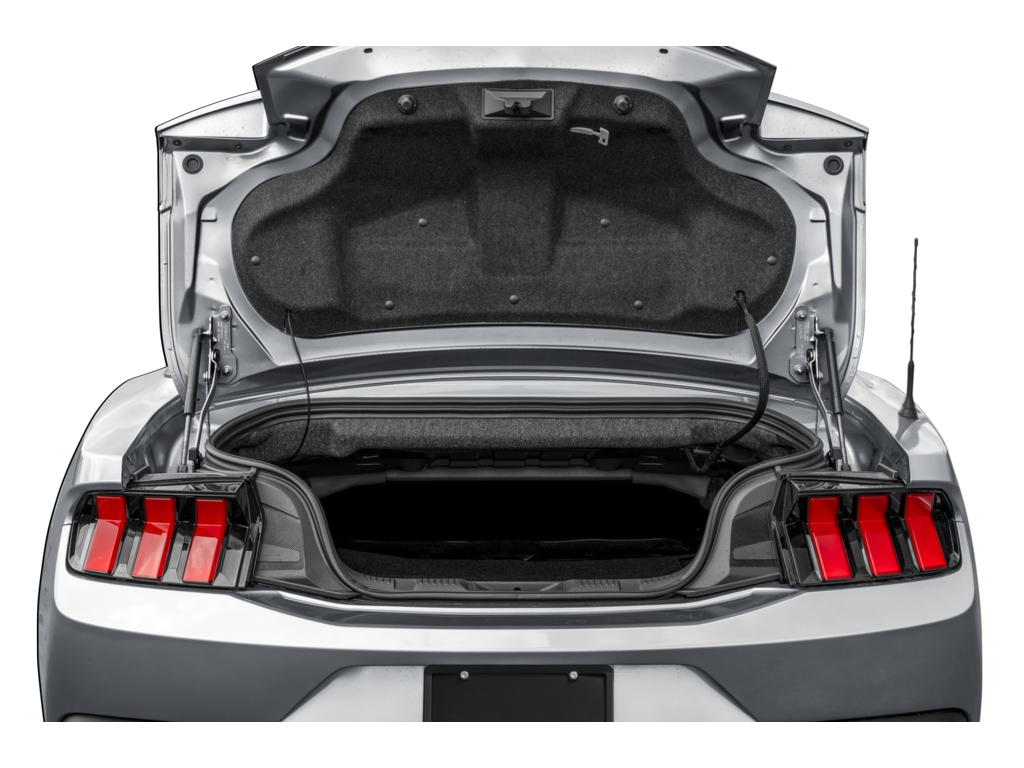 2024 Ford Mustang Exterior
