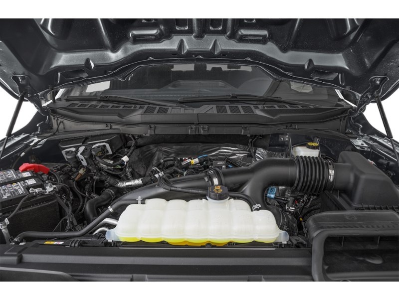 2025 Ford F-150 STX 4WD SuperCrew 5.5' Box Exterior Shot 3