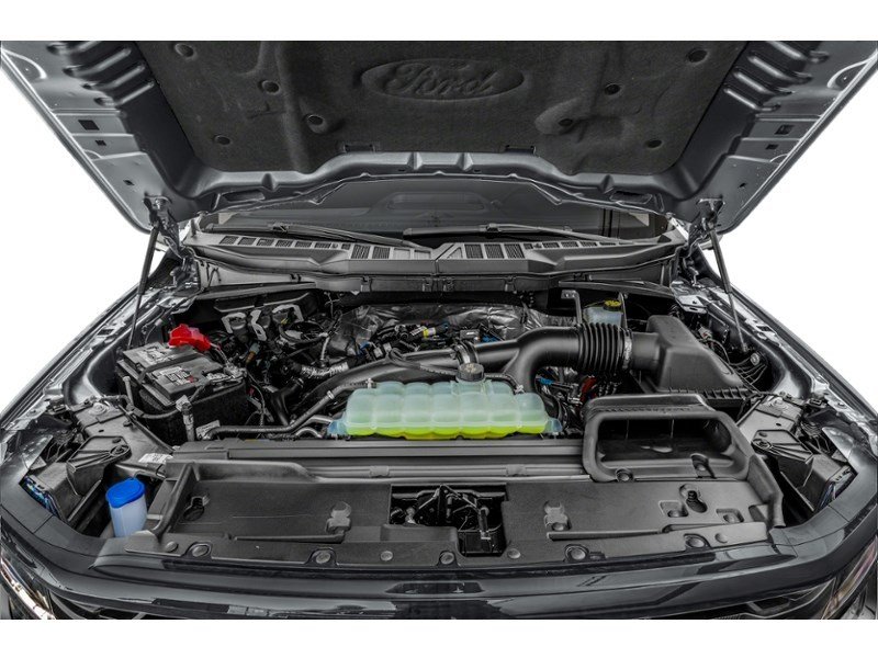 2024 Ford F-150 XLT 4WD SuperCrew 5.5' Box Exterior Shot 3