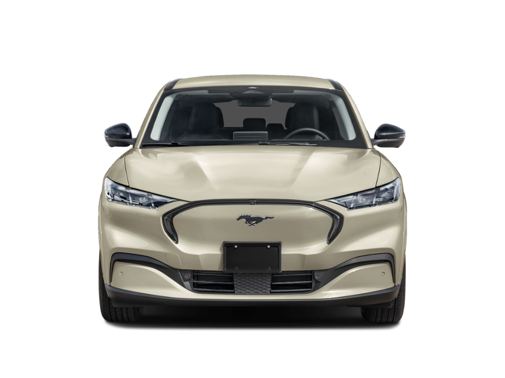 2026 ford mustang mach-e Exterior