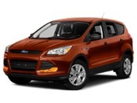 2014 Ford Escape FWD 4dr SE Sunset  Shot 16