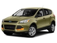 2014 Ford Escape FWD 4dr SE Ginger Ale  Shot 28