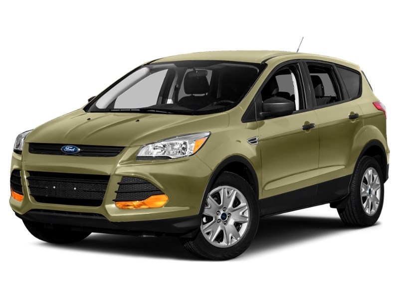2013 Ford Escape FWD 4dr SE Ginger Ale Metallic  Shot 19