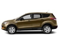 2014 Ford Escape FWD 4dr SE Karat Gold  Shot 9