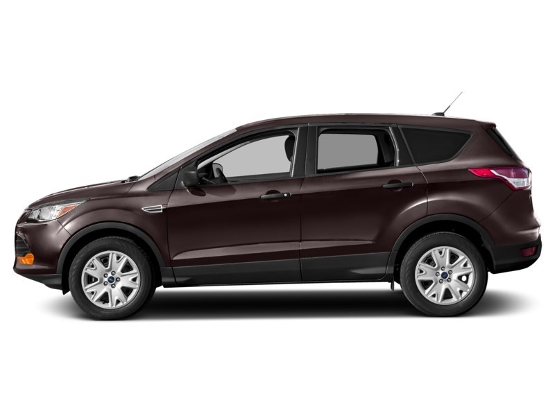 2013 Ford Escape 4WD 4dr SEL Kodiak Brown  Shot 9