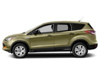 2013 Ford Escape FWD 4dr SE Ginger Ale Metallic  Shot 23