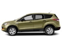 2014 Ford Escape FWD 4dr SE Ginger Ale  Shot 29