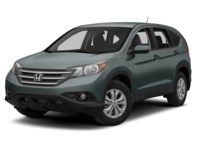 2013 Honda CR-V 2WD 5dr EX Opal Sage Metallic  Shot 16
