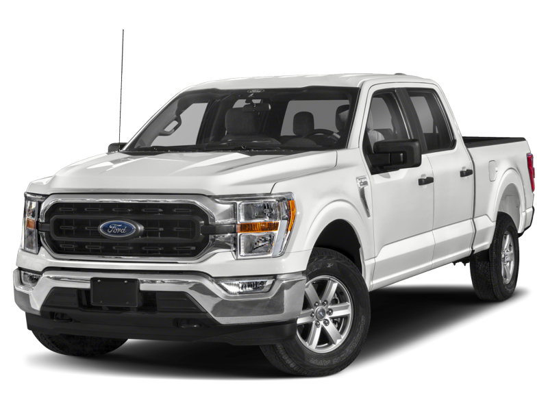 XLT