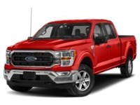 2022 Ford F-150 XLT 4WD SuperCrew 5.5' Box Vermillion Red  Shot 32